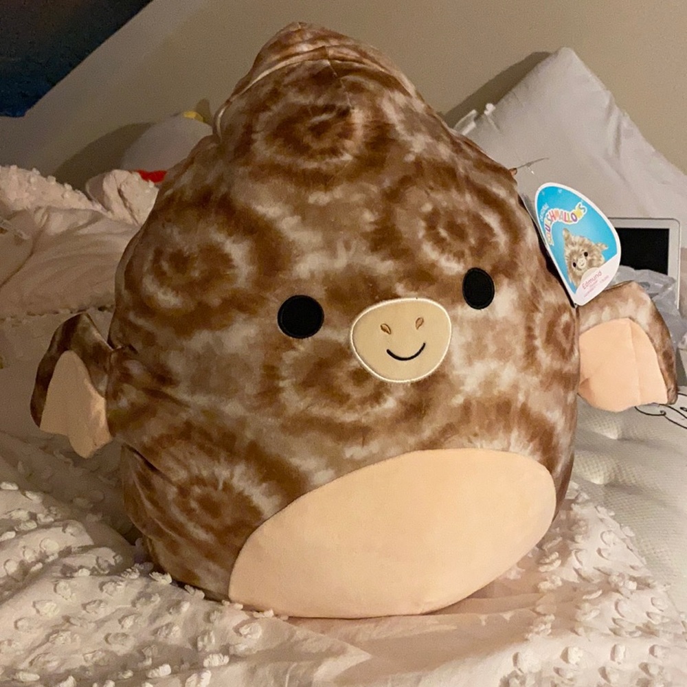 NEW Edmund the Triceratops Squishmallow